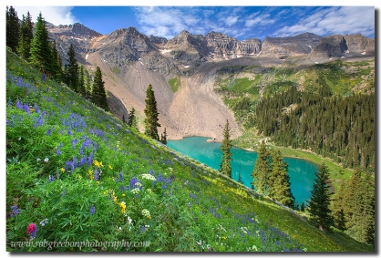 Colorado wildflowers bloom avove the first Blue Lake near Ouray, Colorado.