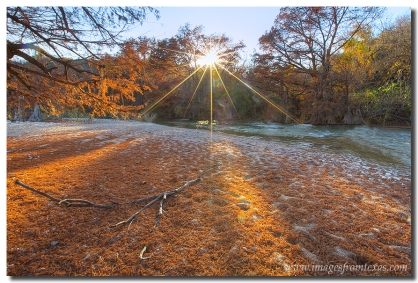 A red carpet of cypress leaves blanket the ground at Pedernales Falls State Park in the Texas Hill Country